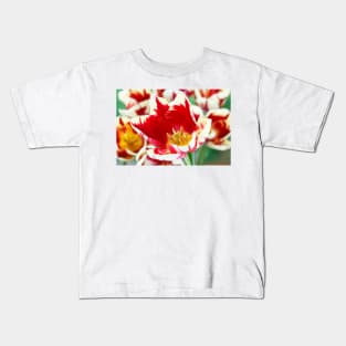 Tulipa  &#39;Grand Perfection&#39;  AGM   Triumph Group Tulip Kids T-Shirt